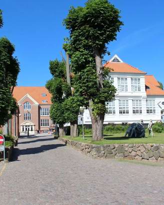 Viby Skole med flag
