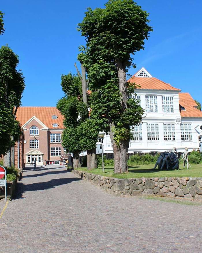 Viby Skole med flag