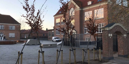 Viby Skole i solopgang